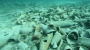 immagine anteprima: Riapre al pubblico il tesoro archeologico subacqueo dell\'Asinara