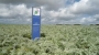 immagine anteprima: «La chimica verde è un\'opportunità concreta per gli agricoltori»