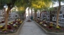 immagine anteprima: Cimitero comunale: informazioni sulle composizioni floreali