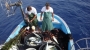 immagine anteprima: Dal 12 al 14 giugno il campionato nazionale di pesca bolentino a coppie