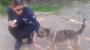 immagine anteprima: La Polizia Locale sequestra un cane e un gatto maltrattati