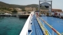 immagine anteprima: Dal 14 novembre nuovi orari per la tratta marittima Porto Torres-Asinara